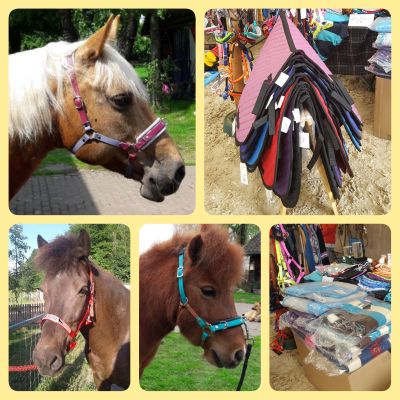 pferde ponys